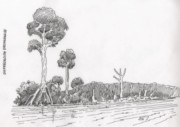 Cuentos Geogr�ficos