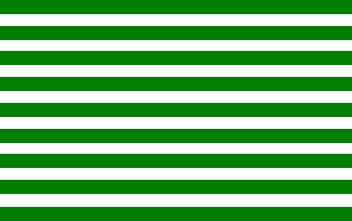 Bandera del Meta