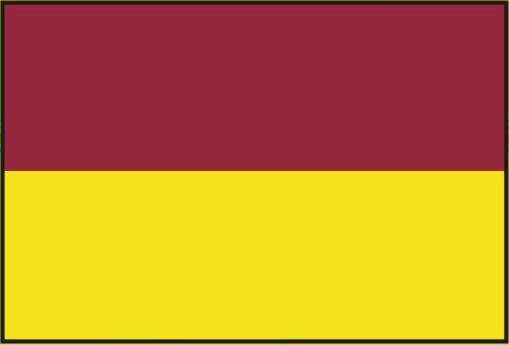 Bandera del Tolima