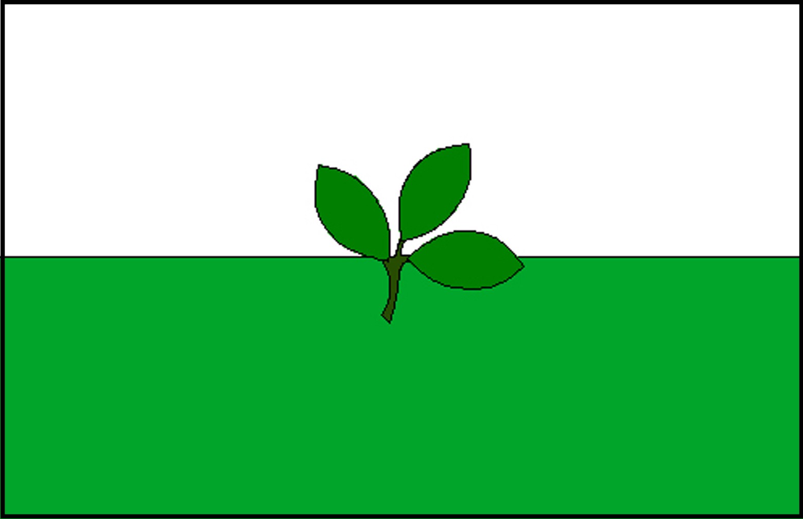 Bandera de Vaupés