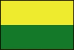 Bandera de Vichada