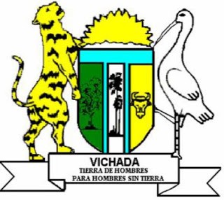 Escudo de Vichada